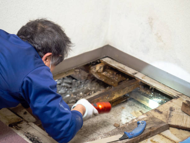 Water Damage Restoration in North Springfield, VA