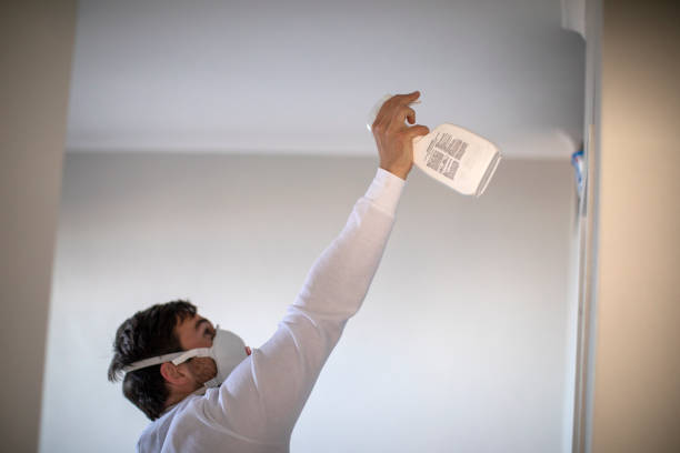 Best Local Mold Removal Service  in North Springfield, VA