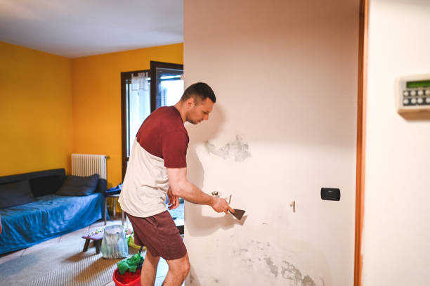 Best Water Damage Restoration  in North Springfield, VA